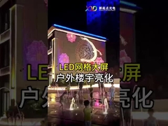 Indoor P100 Flexible LED Mesh Screen Display LED Dot Light Transparante