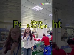 Landschaps Full Color LED puntlichten Smd5050 IP67 24v Voor vakantieverlichting